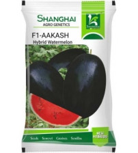 Watermelon F1 Akash 25 grams